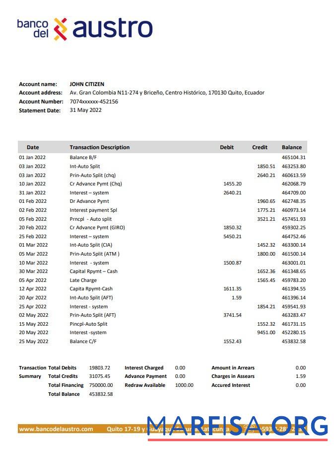 Realistic Ecuador Banco del Austro bank statement excel sample